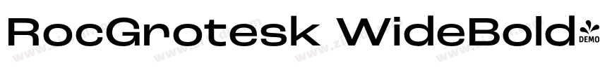 RocGrotesk WideBold字体转换